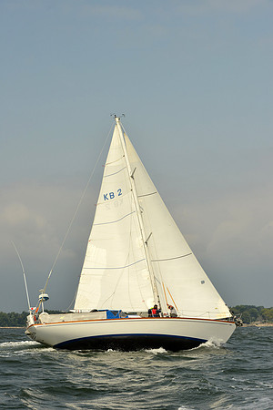 2015 Vineyard Race A 309