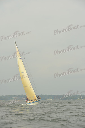 2015 Vineyard Race A 1579