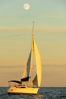 2014 Denmark Race B 1317