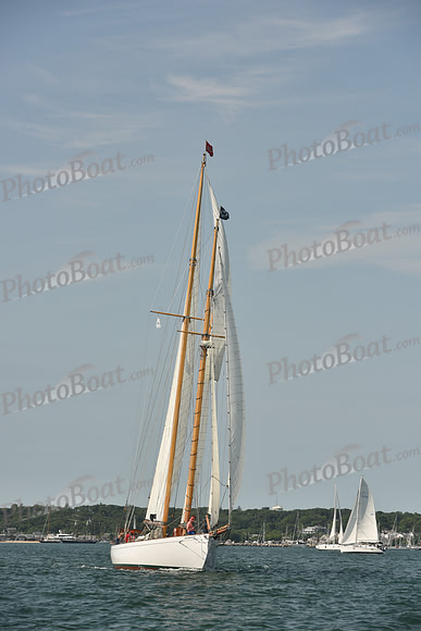 2018 Vineyard Cup A_0085