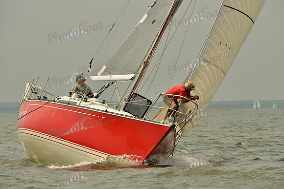 2016 Southern Bay Race Week A_0250