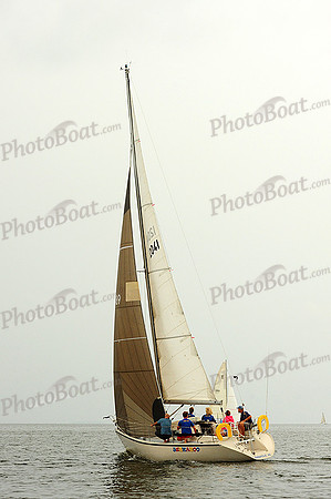 2014 Gov Cup A 1031