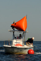 2011 HPDO A 2553