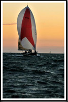 proof_2010_Vineyard_Race_2407