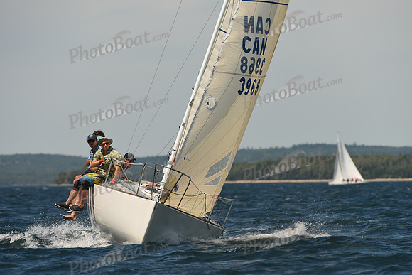 2016 Chester Race Week A_1075