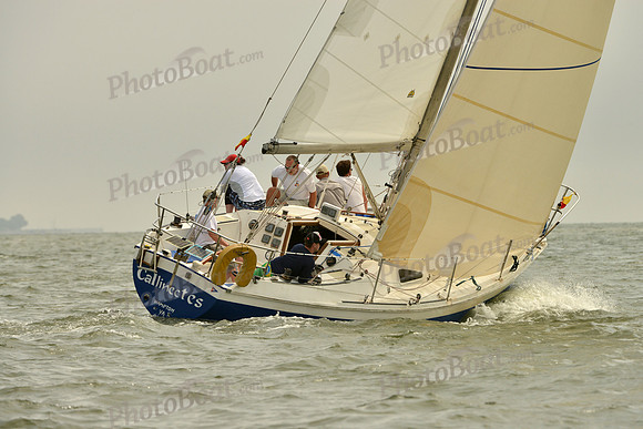 2016 Southern Bay Race Week A_0361