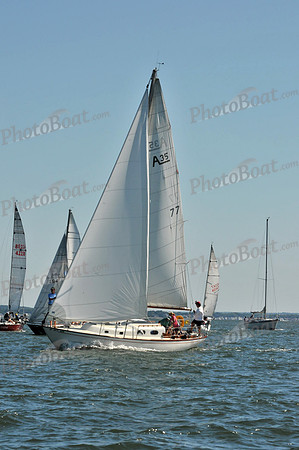 2010 Leukemia Cup 244
