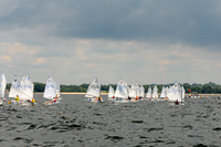 2011 Opti Area C 443