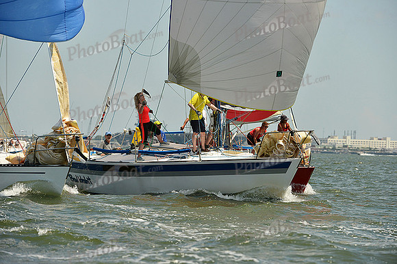 2015 Southern Bay Race Week A 1029