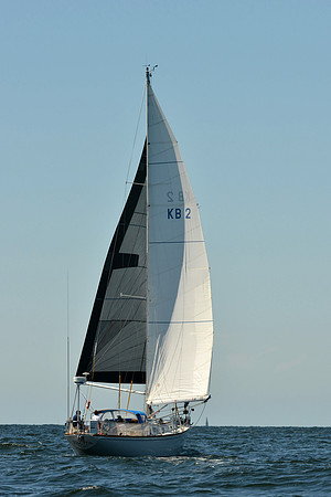2015 Vineyard Race C 355