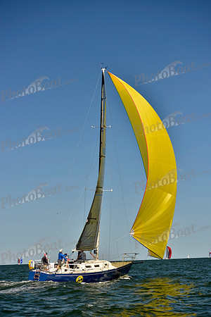 2017 Vineyard Race A_1359