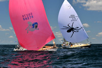 2012 Newport Bermuda 625