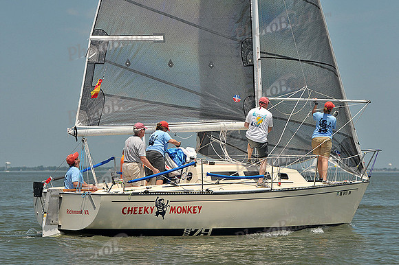 2013 Southern Bay Race Week A 459