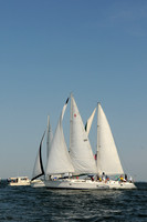 2011 Southern Bay RW D 607