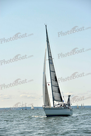 2017 Stamford Denmark Race_0222