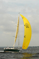 2013 Vineyard Race A 245