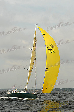 2013 Vineyard Race A 245