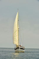 2016 Southern Bay Race Week E_0461