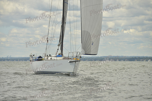 2016 Vineyard Race A_0899