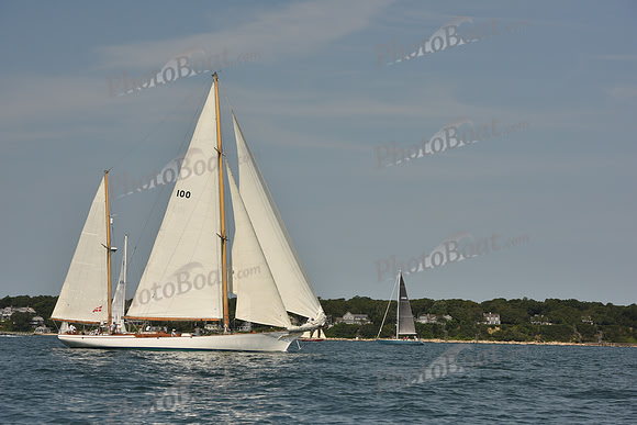 2018 Vineyard Cup A_0048