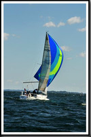 proof_2010_Vineyard_Race_0277