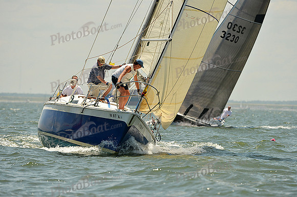 2015 Southern Bay Race Week A 398