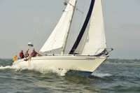 2015 Vineyard Race A 602