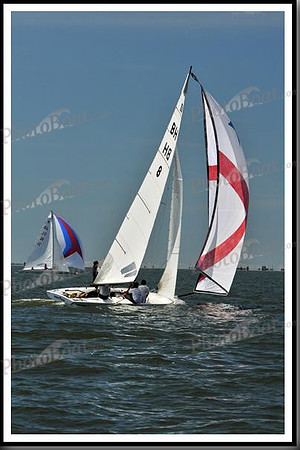 proof_2010_EScows_D 481