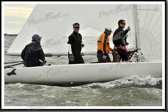 proof_2010_EScows_A 550