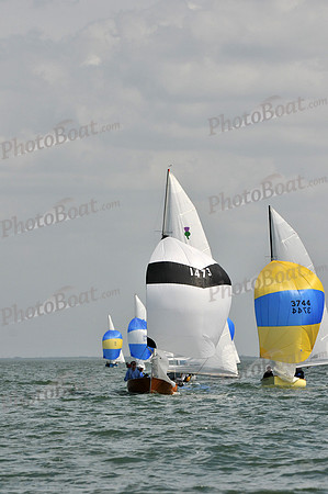 2012 Thistle Midwinters B 1397