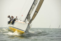 2015 Vineyard Race A 1115