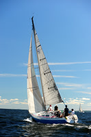 2014 Vineyard Race A 275