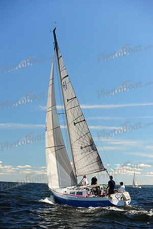 2014 Vineyard Race A 275