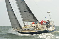 2015 Vineyard Race A 475