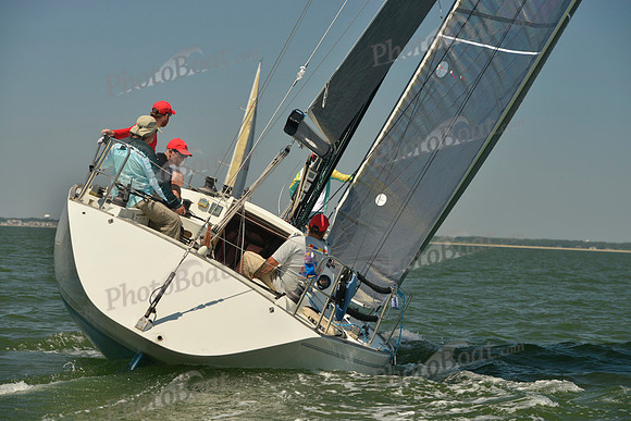 2017 Southern Bay Race Week B_1058