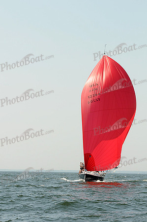 2012 Vineyard Race A 916