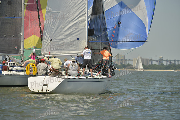 2017 Southern Bay Race Week A_0684