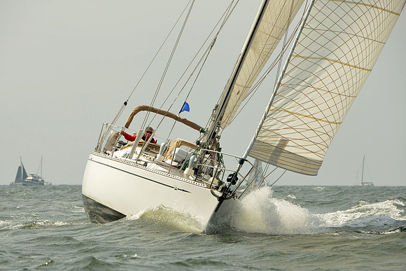 2015 Vineyard Race A 409