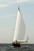 2013 Vineyard Race A 608
