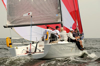 2013 Vineyard Race A 206