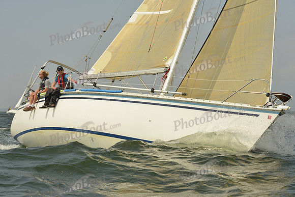 2015 Vineyard Race A 332