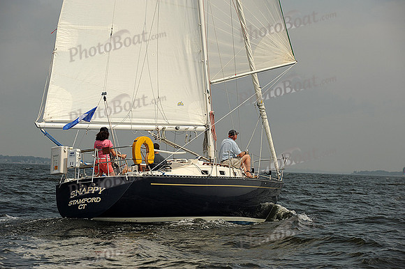 2013 Vineyard Race A 557