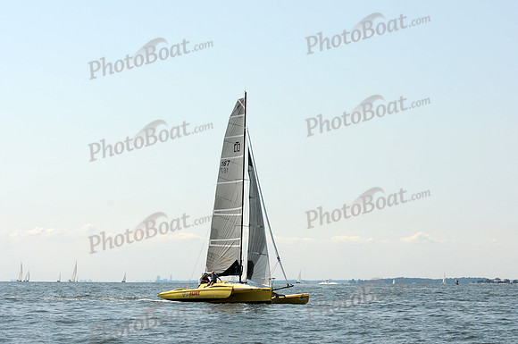 2011 Vineyard Race A 714