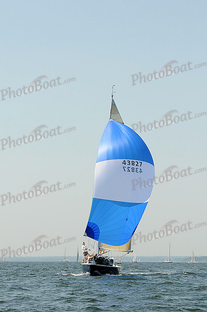 2012 Vineyard Race A 572