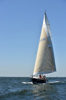 2019 Vineyard Race A_0538