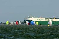 2012 Charleston Race Week A 1231