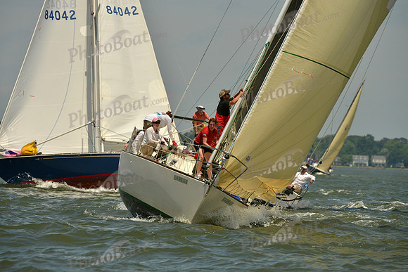 2016 Southern Bay Race Week F_1064
