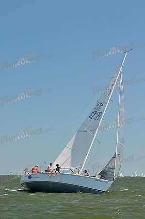 2013 Southern Bay Race Week D 401