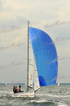 2012 HPDO A 1729