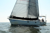 2011 Vineyard Race A 1755